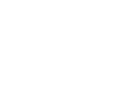 DIGITAL DRAGONS