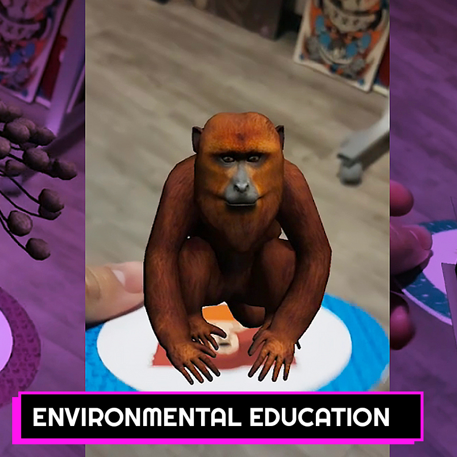 ENVIRONMENTAL EDUCATION IN AUGMENTED REALITY