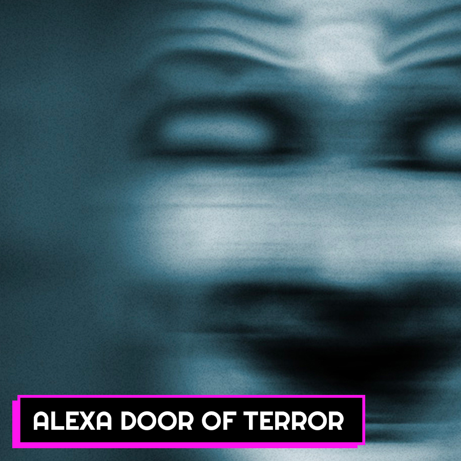 THE DOOR OF TERROR FOR ALEXA